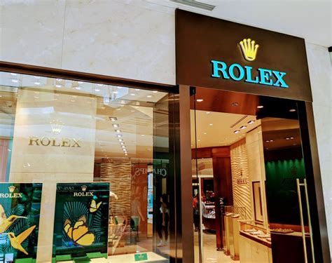 rolex dealers in florida.